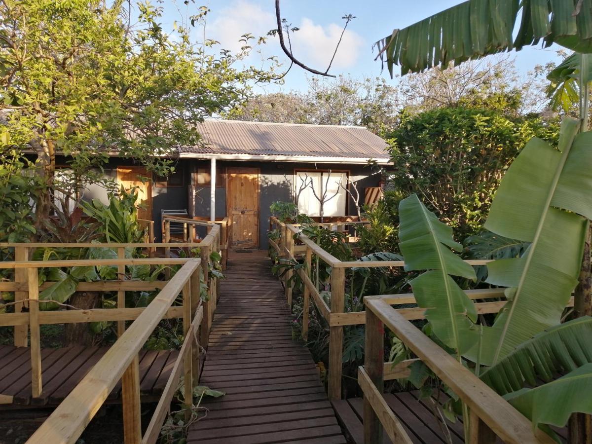 Tuava Lodge Hanga Roa Extérieur photo